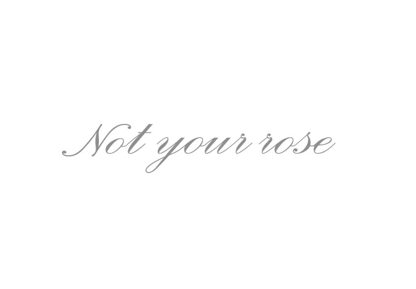 Not your rose | ノットユアローズ