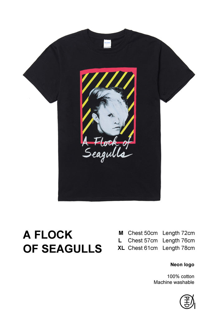 フロック・オブ・シーガルズ / A Flock Of Seagulls
